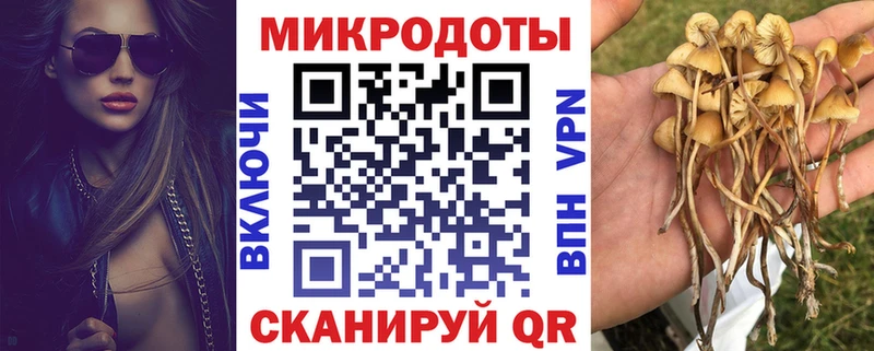 Галлюциногенные грибы Cubensis  Купить закладки  Буй 